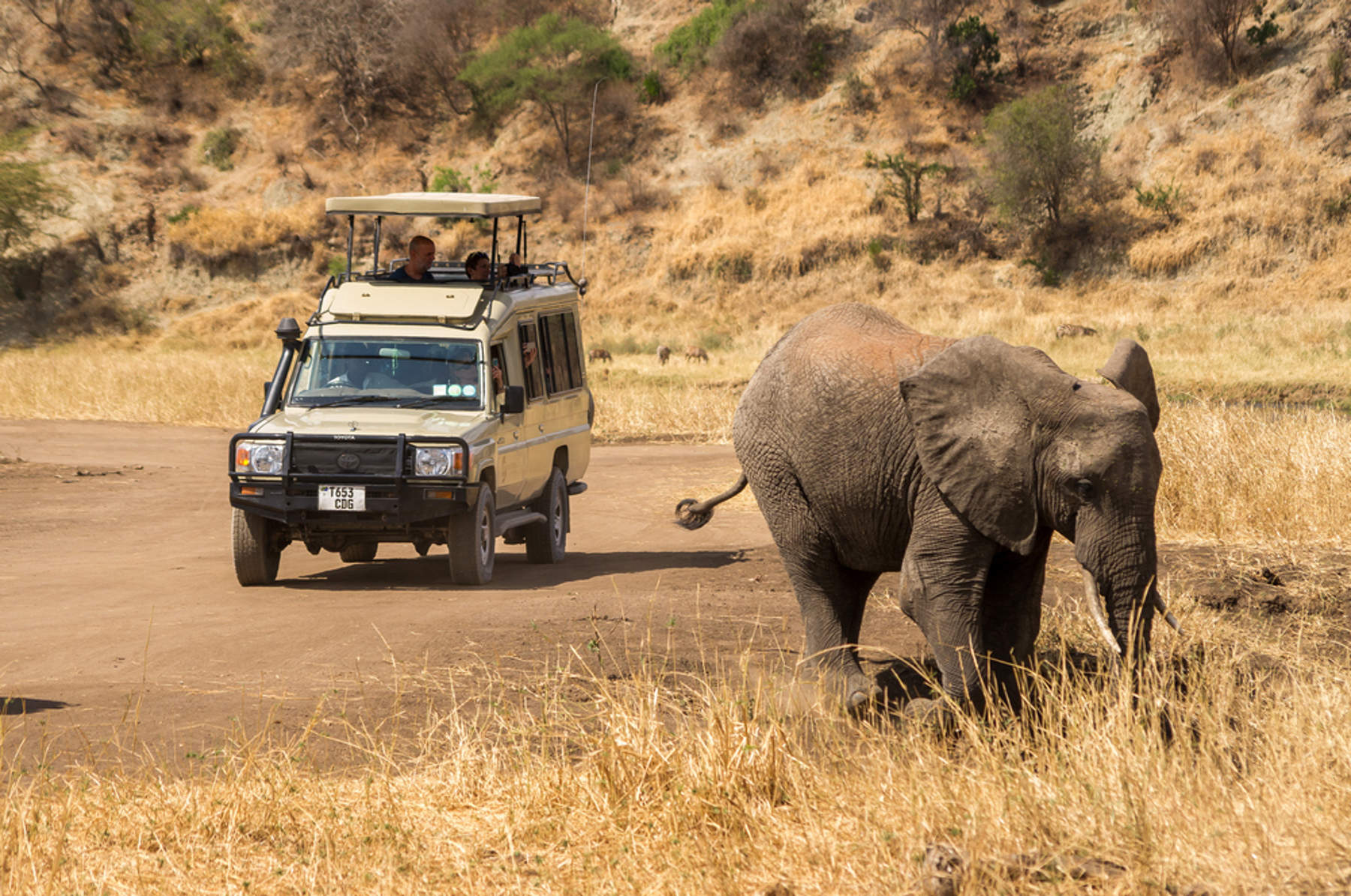 7 tägige Privat Safari Tembo durch Nationalparks in Tansania